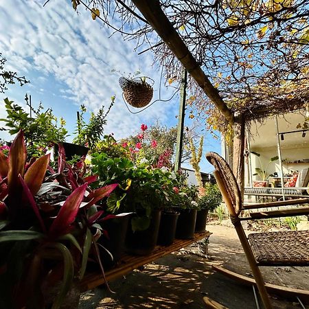 בקתות האס ואטינגר Villa Geva Carmel Eksteriør billede