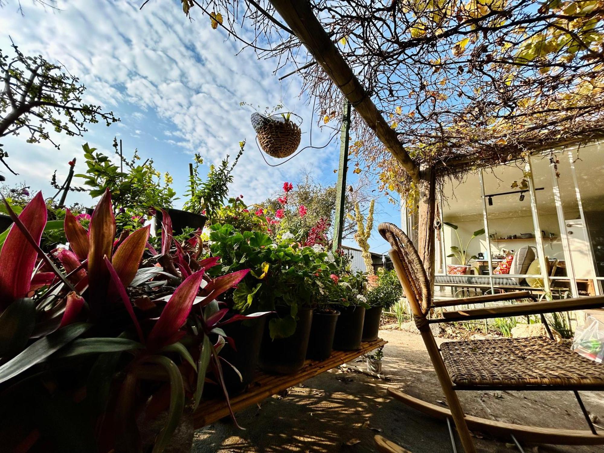 בקתות האס ואטינגר Villa Geva Carmel Eksteriør billede
