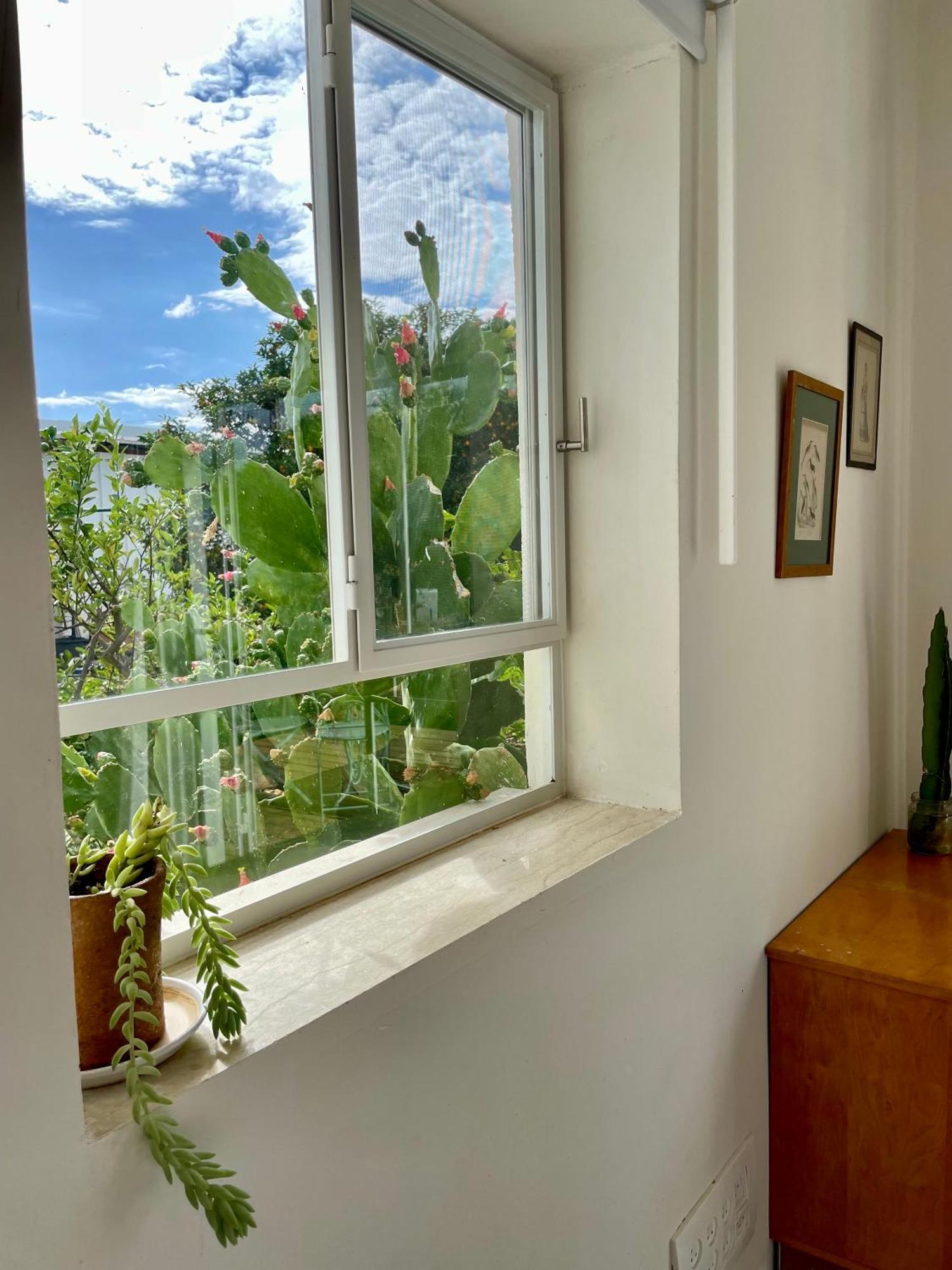 בקתות האס ואטינגר Villa Geva Carmel Eksteriør billede